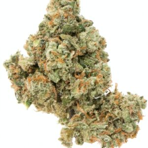 Buy Jack Herer Strain