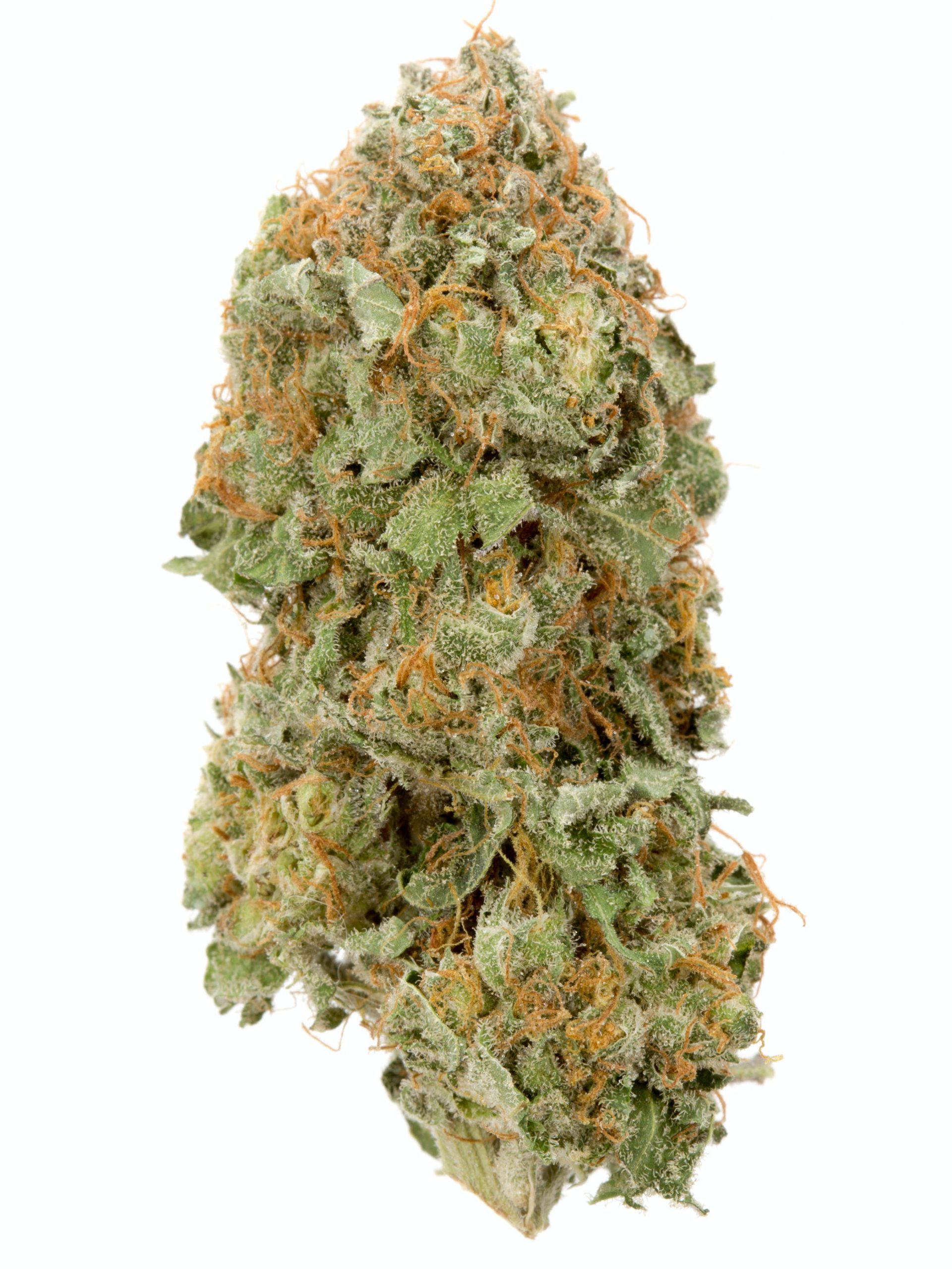 Buy Cali Kush Online