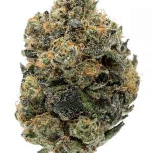 Buy Girl Scout Cookies Strain