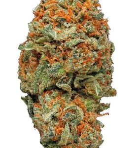 Buy AK-47 Strain Online