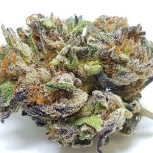 Buy Purple Urkle Strain Online