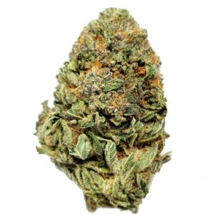 Buy master bubba kush 